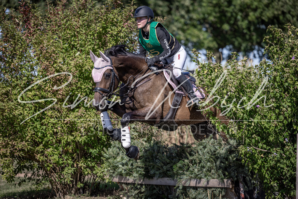 20260906-_3LI5310 | Tierfotografie Pferde, Hunde, Katzen, Haustiere.
Turnierfotografie Reitturniere, Reiten, Springreiten, Dressur in Hanau, dem Main-Kinzig-Kreis und dem Rhein-Main- Gebiet um Frankfurt