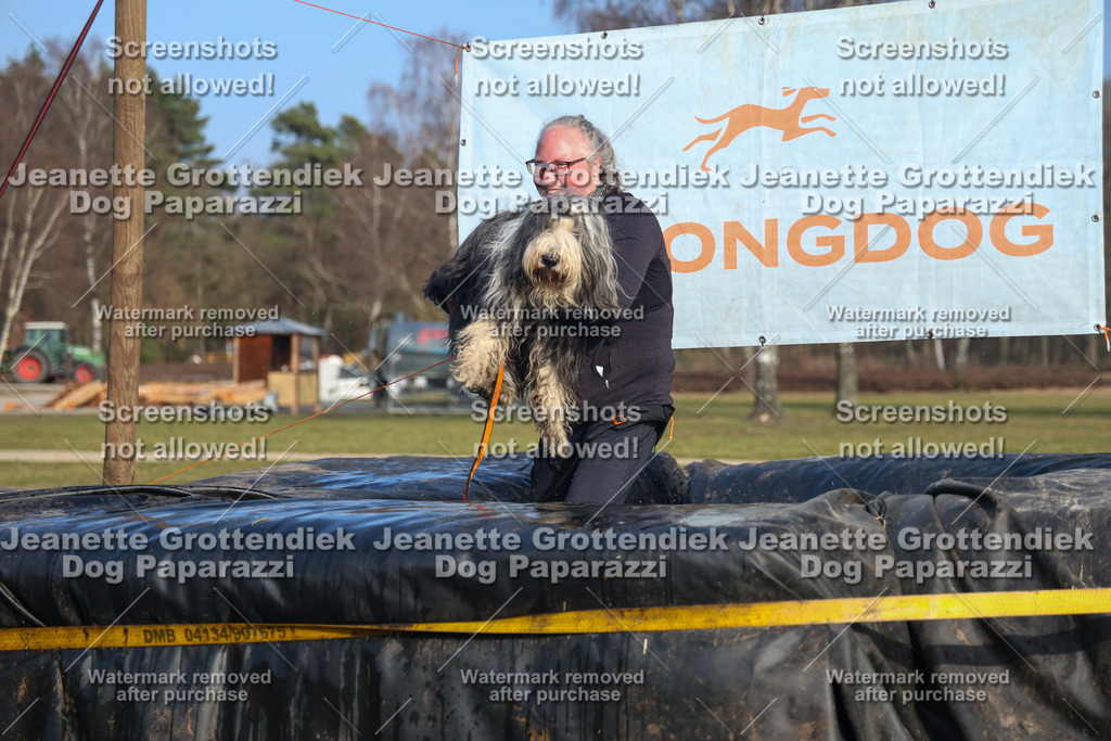 Dog Paparazzi - Strongdog North Mrz26-3530 | Dog Paparazzi Jeanette Grottendiek Fotografie & Videografie - Realisiert mit Pictrs.com