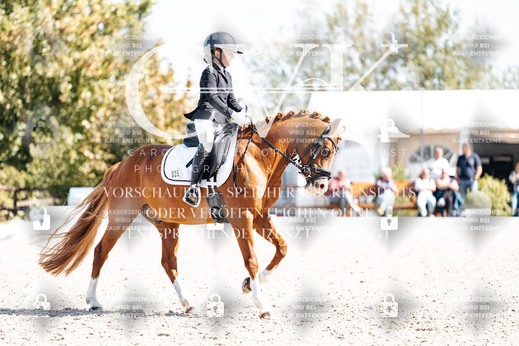 CK903073 | Turnierfotografie Pferdefotografie Trier Rheinland-Pfalz Pferdesport Reitsport Tierfotografie Sportfotografie Pferdevideo Pferdevideografie Equestrianvideography equestrianphotography  - Realisiert mit Pictrs.com