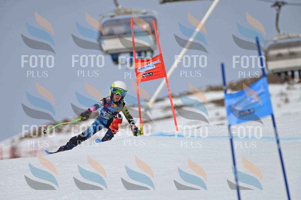 BGV_4922 | holidayphoto