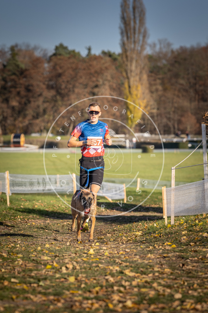 CaniXpix_DV3A0798 | Hundefotografie, Tierfotograf, Pfotenfotografie, Fotoshooting Hund, Hunde Portrait, Hundesport, Hundeportraits, Heideshooting, Hunde, Sportfotograf, Hundefotograf, Turnierhundsport, THS,  - Realisiert mit Pictrs.com