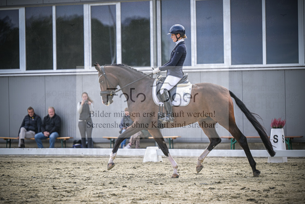 DOS_2138 | Entdecke hochwertige Reitturnierfotos von Foto Oger. Professionell, emotional und authentisch – jetzt Lieblingsmomente im Shop bestellen.Deutschlandweite Turnierfotografie. - Realisiert mit Pictrs.com