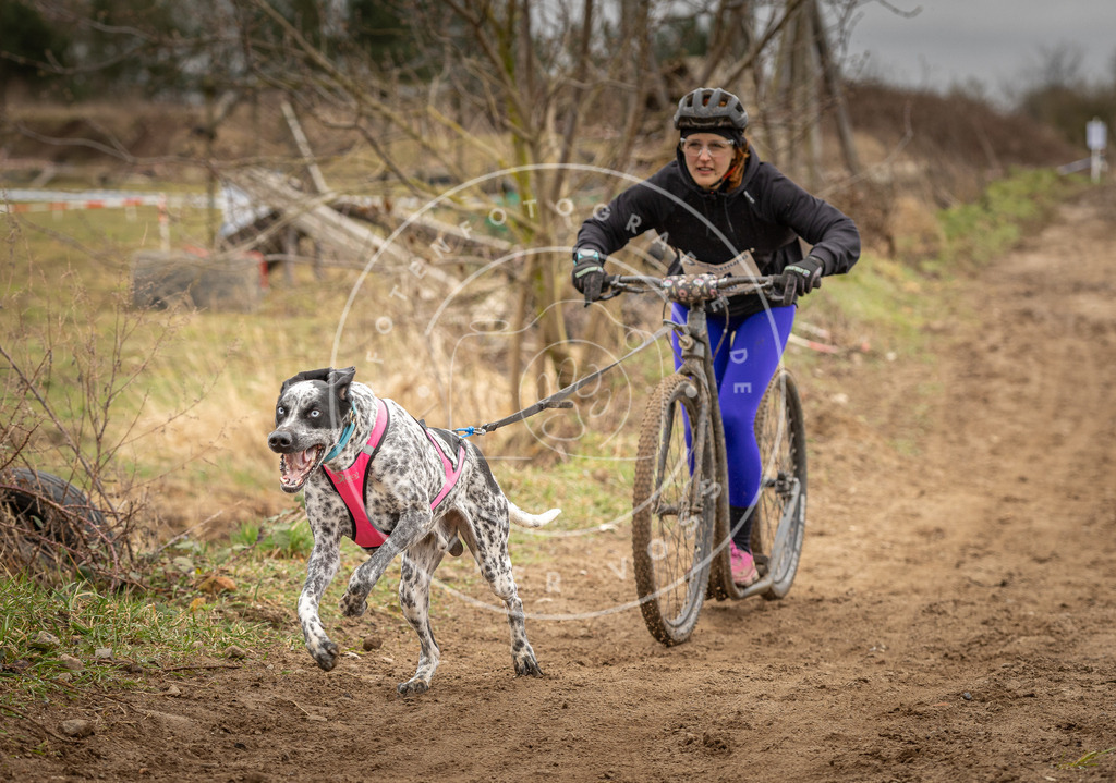 DV3A1294 | Hundefotografie, Tierfotograf, Pfotenfotografie, Fotoshooting Hund, Hunde Portrait, Hundesport, Hundeportraits, Heideshooting, Hunde, Sportfotograf, Hundefotograf, Turnierhundsport, THS,  - Realisiert mit Pictrs.com