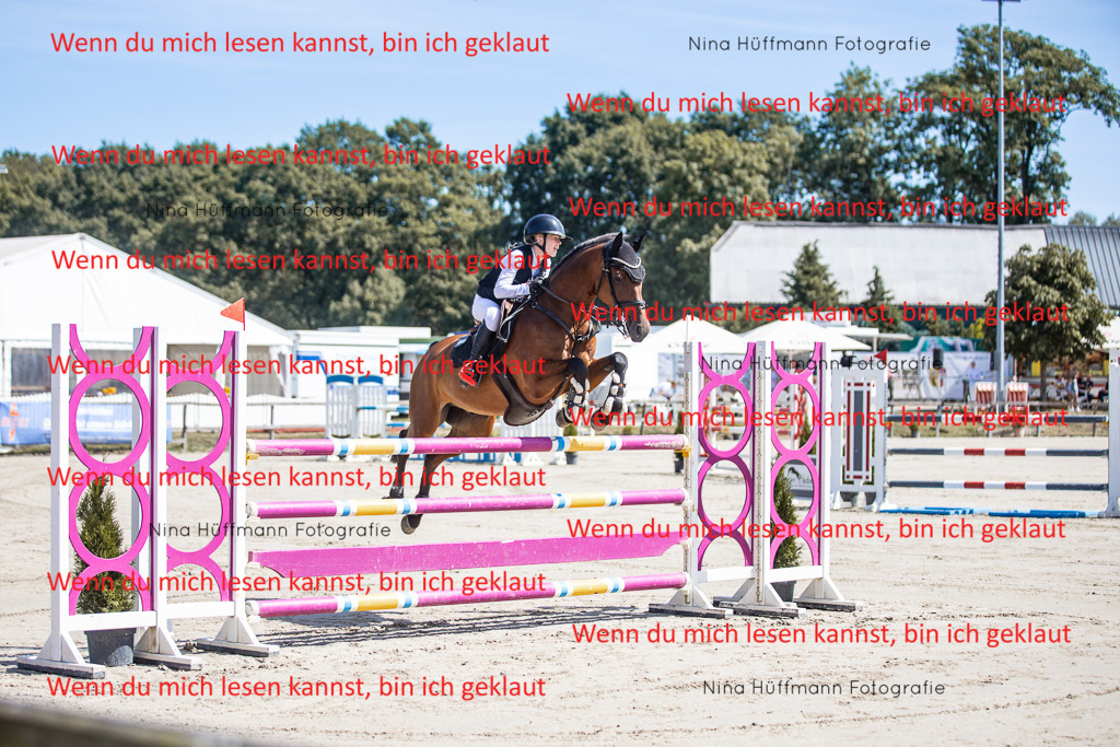 BK1A6541 | Turnierbilder Turnierfotos Nina Hüffmann Turnierfotografie Pferdefotografie Tierzeichnung Haustierzeichnung Pferdezeichnung Hundezeichnung Videograf  - Realisiert mit Pictrs.com