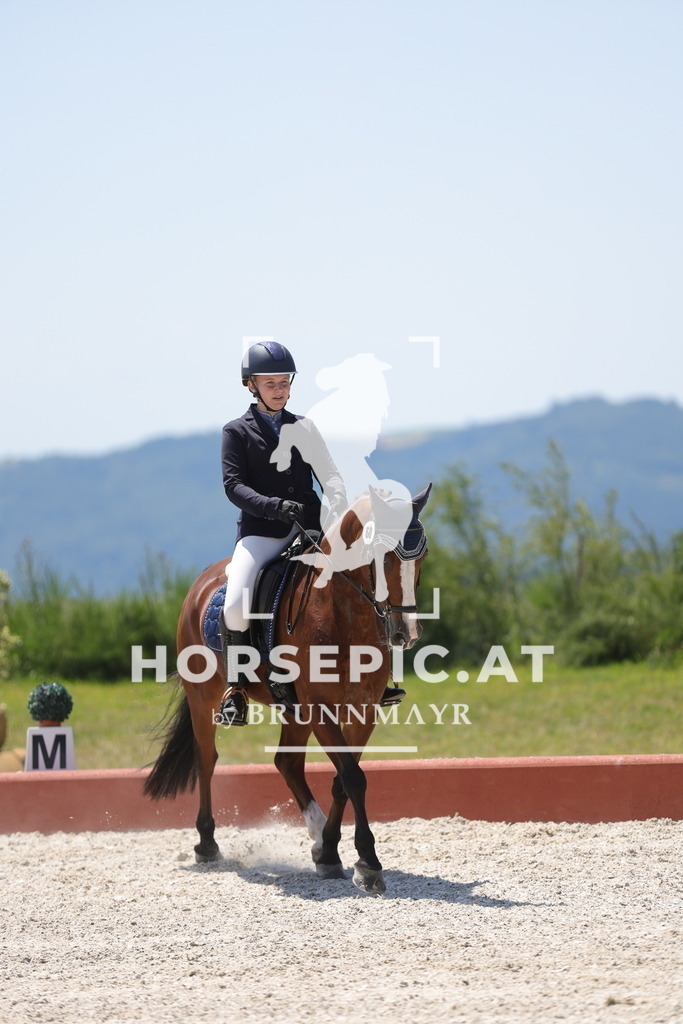 0P6A6335 | Willkommen bei Brunnmayr - Design & Fotografie – Ihrem Spezialisten für Reitturniere und Pferdeveranstaltungen in Oberösterreich, Salzburg und Bayern! Seit über 17 Jahren sind wir leidenschaftlich dabei.
