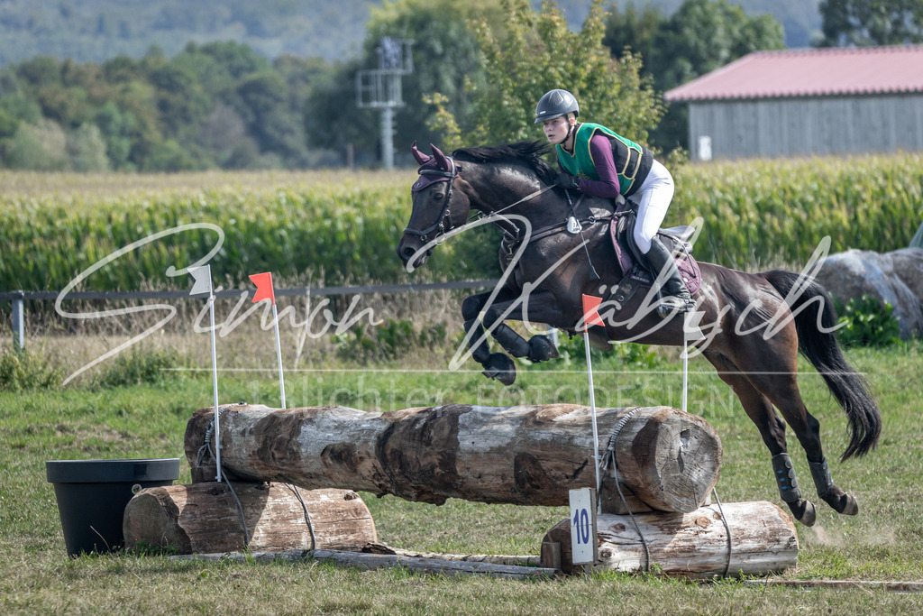 20250907-_3LR7912 | Tierfotografie Pferde, Hunde, Katzen, Haustiere.
Turnierfotografie Reitturniere, Reiten, Springreiten, Dressur in Hanau, dem Main-Kinzig-Kreis und dem Rhein-Main- Gebiet um Frankfurt