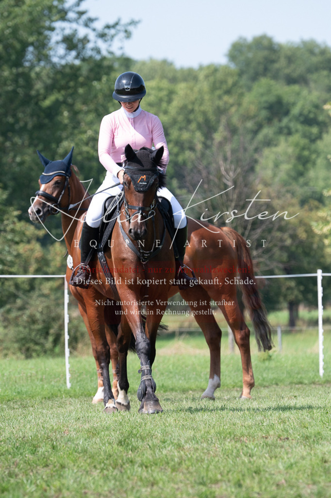 DSC_0616 | Pferde- und Turnierfotografie in Westsachsen. Pferdeportraits, Auftragszeichnungen und intuitive Kunst.