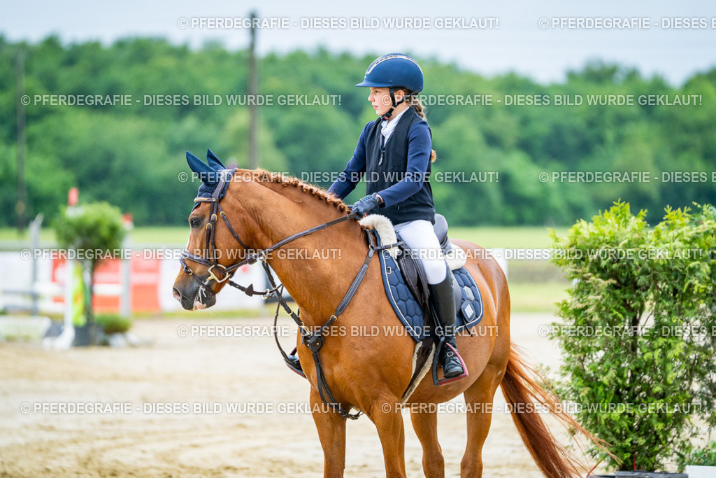 DSC01190 | Pferdegrafie