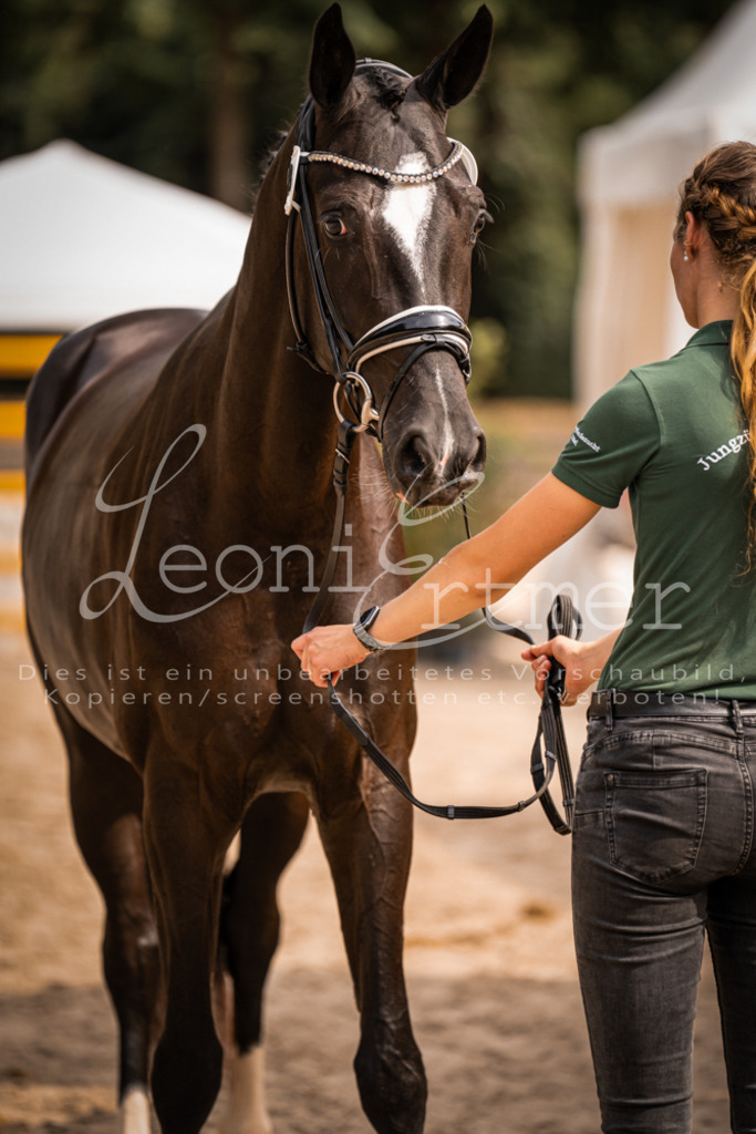 7.Fr00121 | Leoni Ertmer Photography - Realisiert mit Pictrs.com