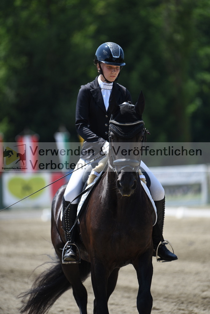 DSC_0540 | equestrian-live-com