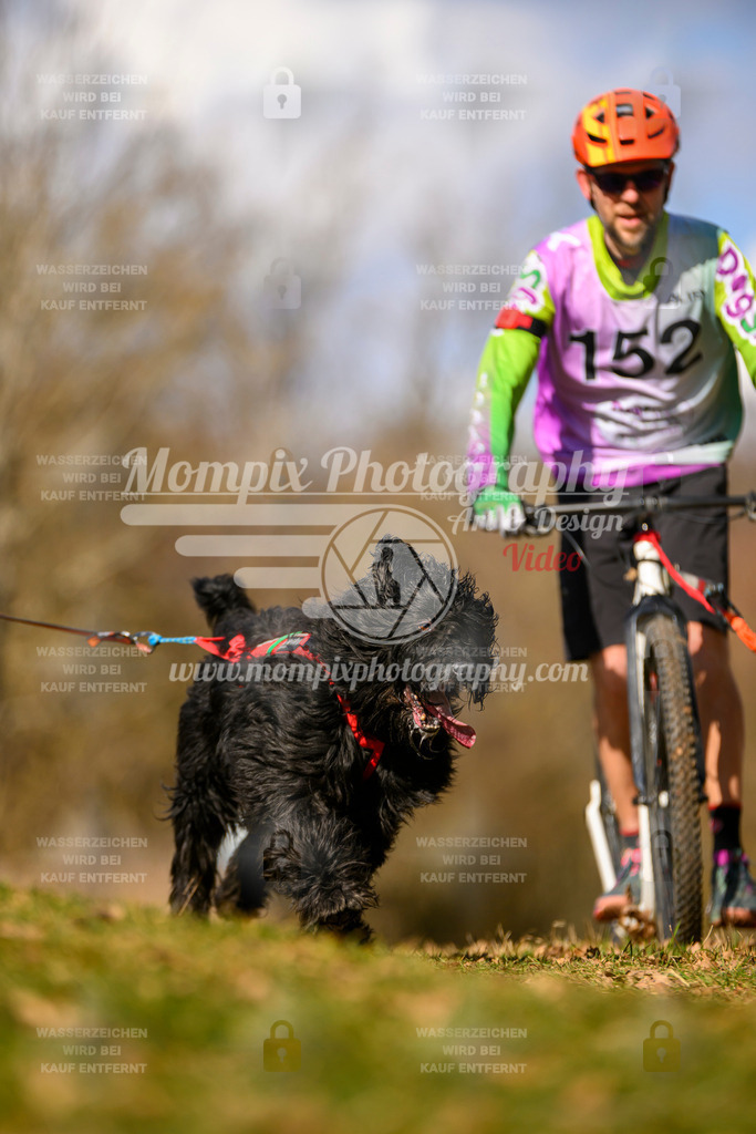 MompixPhotography_10Schwabentrail2026_SO_Scooter-169 | PayLife
