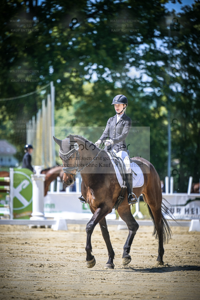 DOS_8234 | Entdecke hochwertige Reitturnierfotos von Foto Oger. Professionell, emotional und authentisch – jetzt Lieblingsmomente im Shop bestellen. - Realisiert mit Pictrs.com