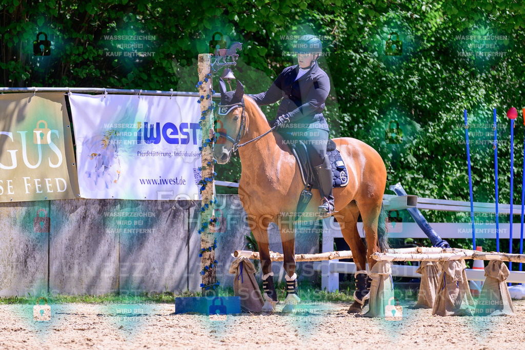 01052026-Giesenbach-02-Stiltrail-0274 | Fokus Hufschlag Fotografie - Realisiert mit Pictrs.com
