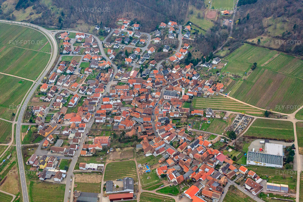 Luftbild: Winzerdorf am Haardtrand in Eschbach im Bundesland Rheinland-Pfalz in Deutschland. Foto: IMG_25388.jpg vom 25.03.2010 durch Werner Riehm/FLY-FOTO.de