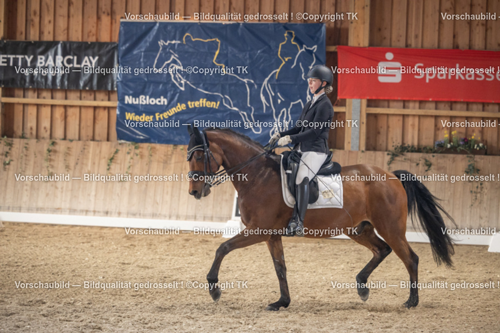 _D5A6018 | Emotionale Pferde- & People-Fotografie rund um Heidelberg, Leimen & Umgebung. Natürliche Fotos von Pferd, Mensch & Familie. Jetzt Termin sichern!