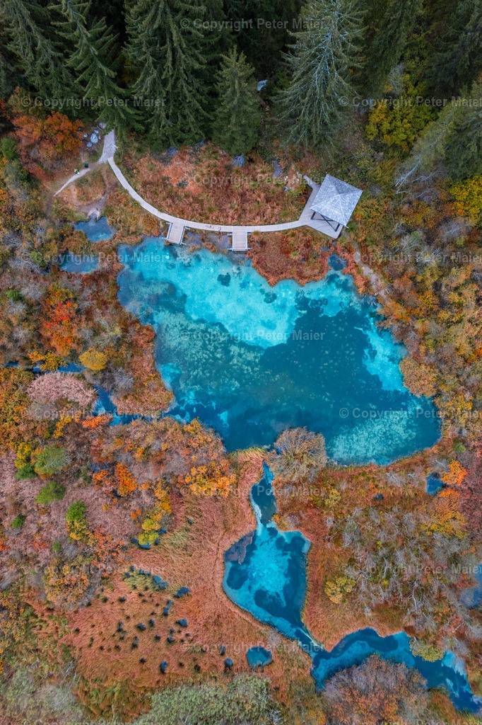 Zelenci-74 | piet_flosse