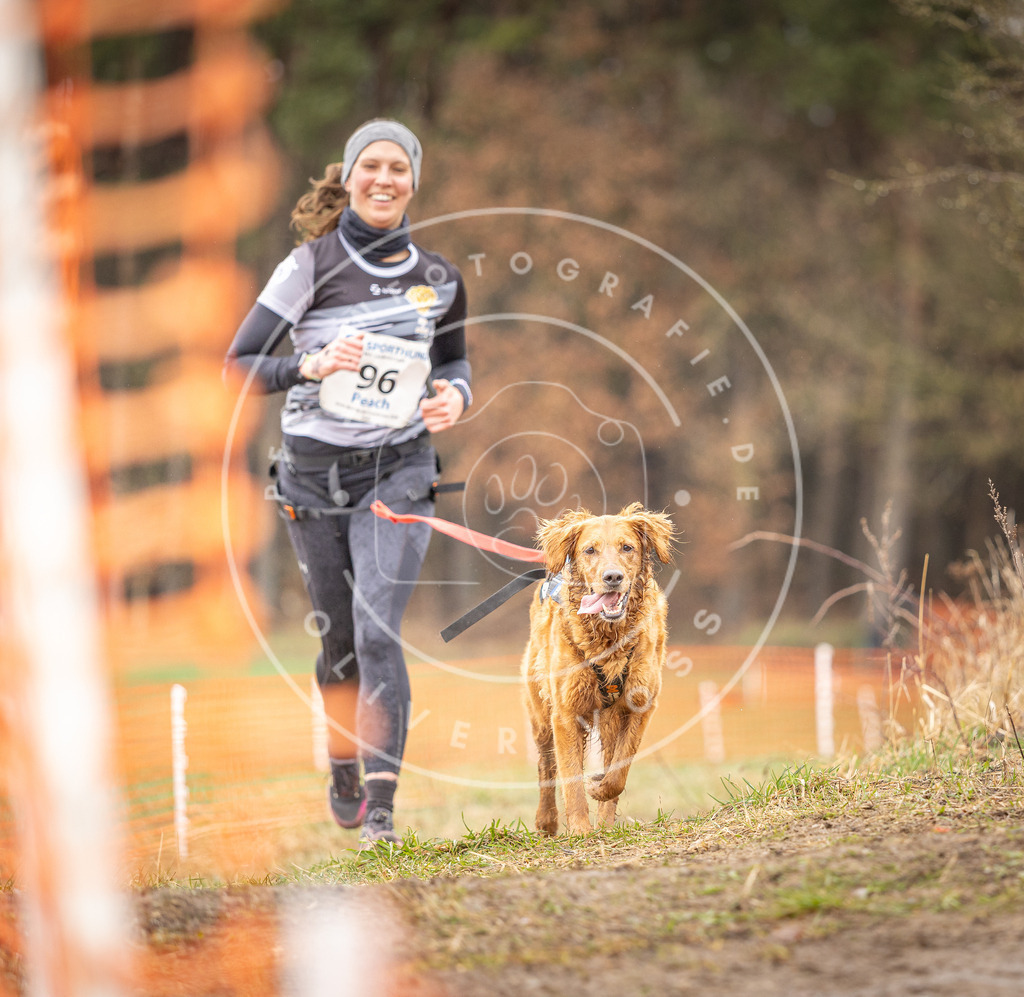 DV3A0550 | Hundefotografie, Tierfotograf, Pfotenfotografie, Fotoshooting Hund, Hunde Portrait, Hundesport, Hundeportraits, Heideshooting, Hunde, Sportfotograf, Hundefotograf, Turnierhundsport, THS,  - Realisiert mit Pictrs.com