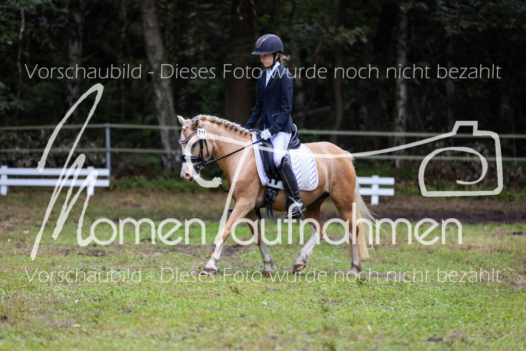 HB-Dressur-WB-003 | MomenTaufnahmen Pferdesportfotos