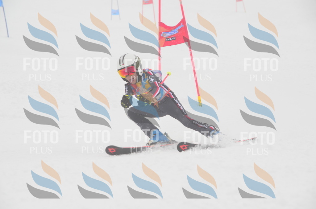 C0922 | holidayphoto