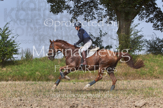 09-23 Jagd Perdöl_MCH0042_Marina Hewig | Fotografie, FotoArt, PferdesportArt, Pferdesportfotografie, Landschaftsfotografie, Reisefotografie, Reise, Pferde - Realisiert mit Pictrs.com