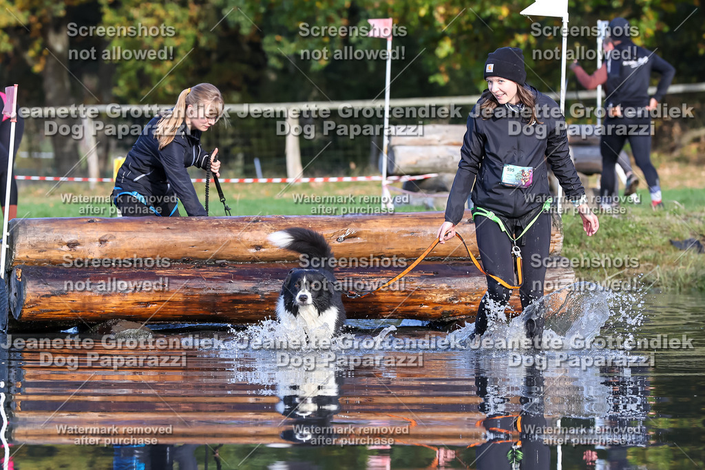 Dog Paparazzi - Strongdog 10-25-8544 | Dog Paparazzi Jeanette Grottendiek Fotografie & Videografie - Realisiert mit Pictrs.com