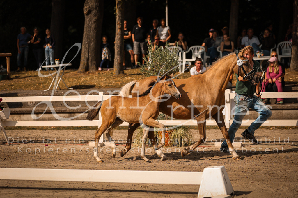 10.DoRP00148 | Leoni Ertmer Photography - Realisiert mit Pictrs.com