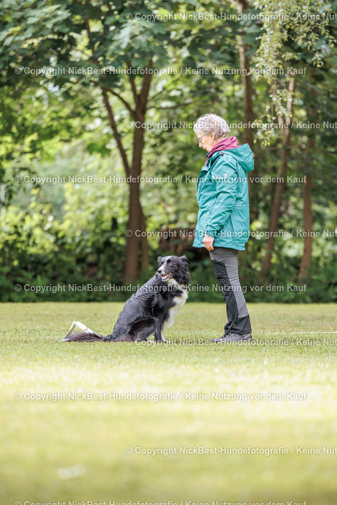 RO-Blumenthal-2026-Nickbest-Hundefotografie-5474 | Dein Hund! Dein Moment! Deine Erinnerungen! Hundefotografie in Bremen Blumenthal. Ich fange die besonderen Momente deines Vierbeiners ein – ob Indoor mit Blitzanlage oder in der freien Natur. Sicher dir dein Moment und dein Termin für eure Erinnerungen.