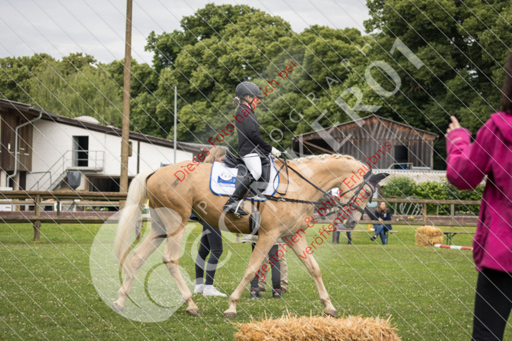 IMG_1657 | Sport-, Event- und Tierfotos in Profiqualität. Einfach auswählen, bestellen und herunterladen. Dein Moment – perfekt festgehalten.