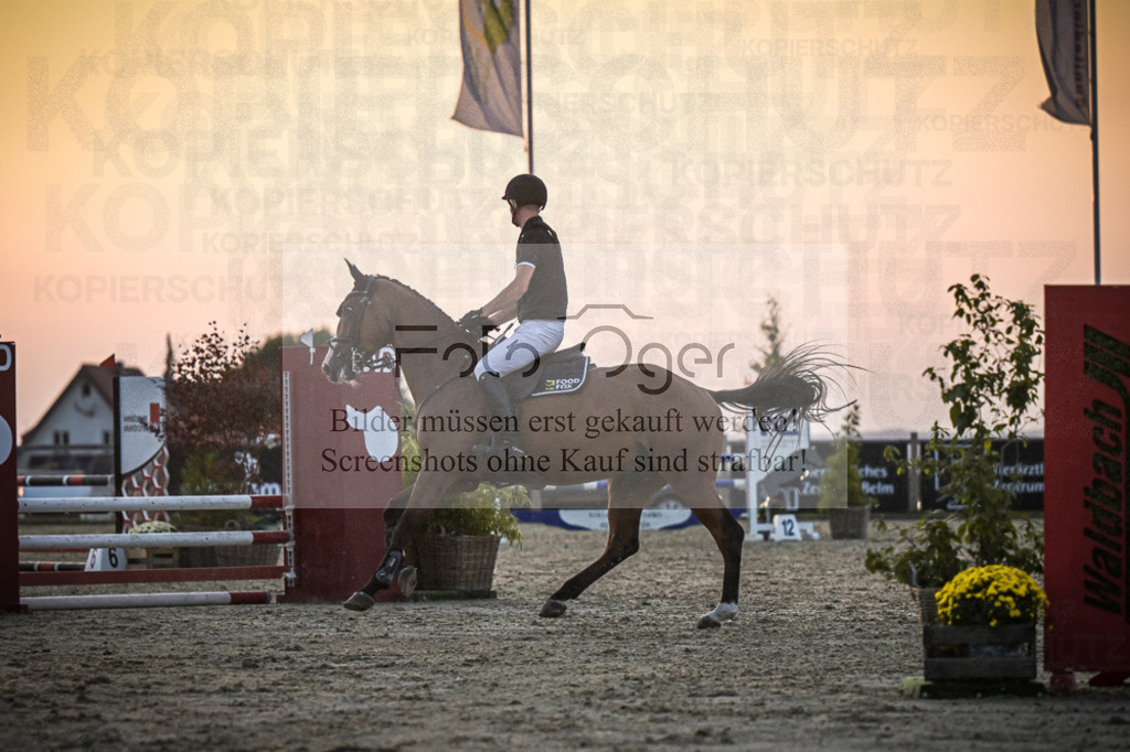 DOS_2398 | Entdecke hochwertige Reitturnierfotos von Foto Oger. Professionell, emotional und authentisch – jetzt Lieblingsmomente im Shop bestellen.Deutschlandweite Turnierfotografie. - Realisiert mit Pictrs.com