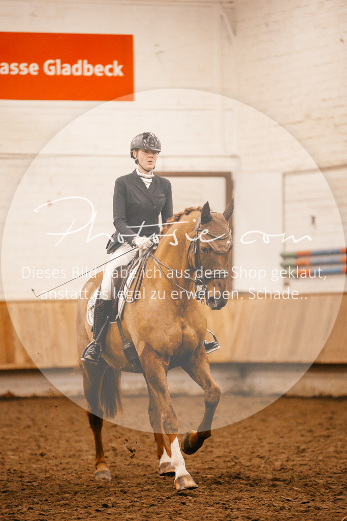 3I6A2964 | Stimmungsvolle Portraits und Reitsportfotografie im Ruhrgebiet und im Münsterland.

Pferdefotografie, Hundefotografie, Tierfotografie, Reportagen, Portraits von Tier und Mensch, Turnierfotografie in Bochum, Recklinghausen, Marl, Haltern am See, Dülmen.. - Realisiert mit Pictrs.com