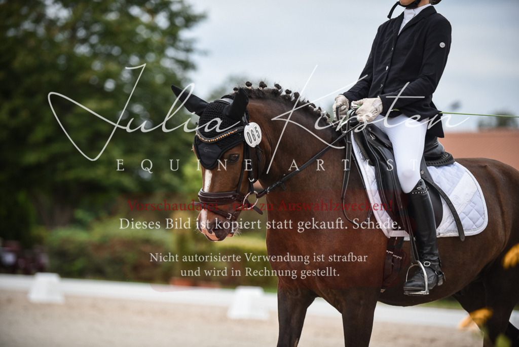 DSC_8113 | Pferde- und Turnierfotografie in Westsachsen. Pferdeportraits, Auftragszeichnungen und intuitive Kunst.