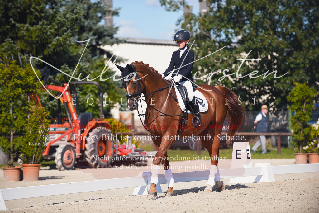 DSC_0020 | Pferde- und Turnierfotografie in Westsachsen. Pferdeportraits, Auftragszeichnungen und intuitive Kunst.