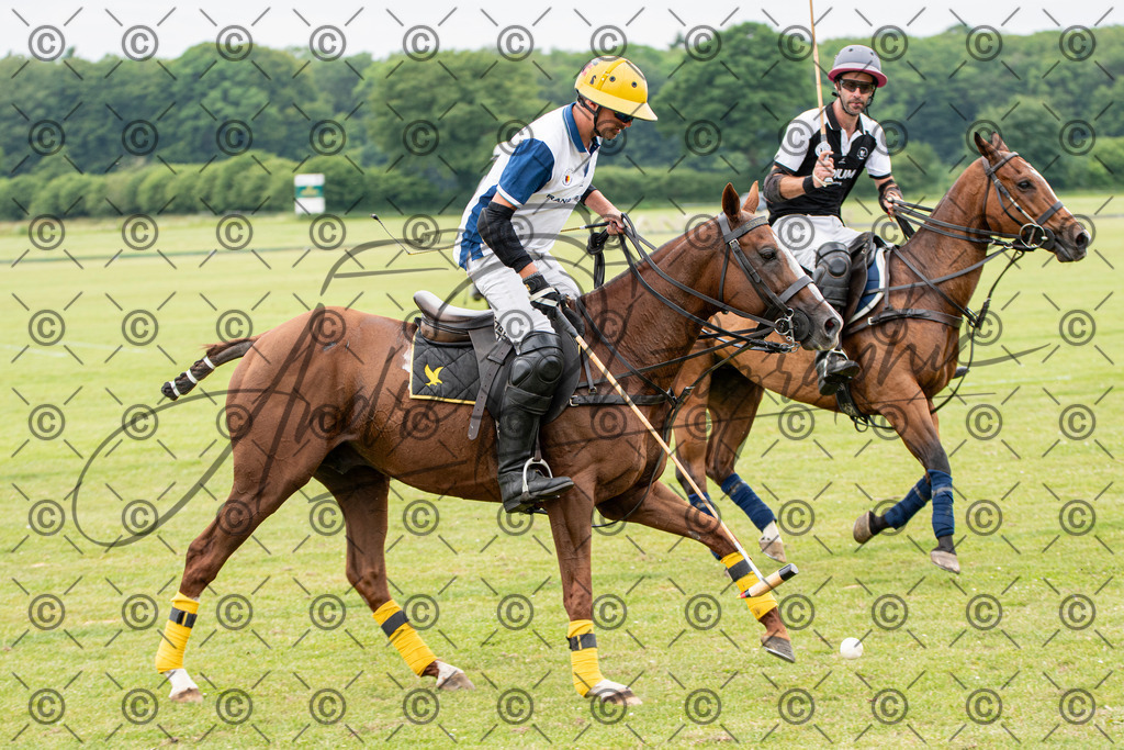 POL_3935 | andre_photographic