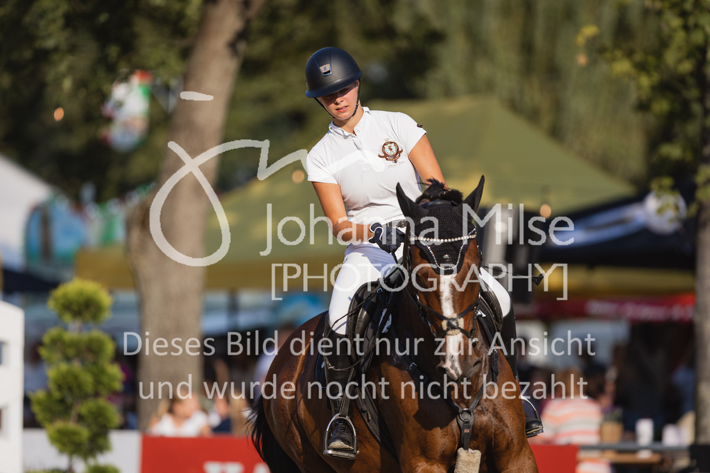 230823_Delbrueck_Stil-A1-151 | Deine schönsten Turniermomente als professionelle Fotos! Entdecke hochwertige Pferdesport-Fotografie im Online-Shop. Jetzt Fotos finden & bestellen!