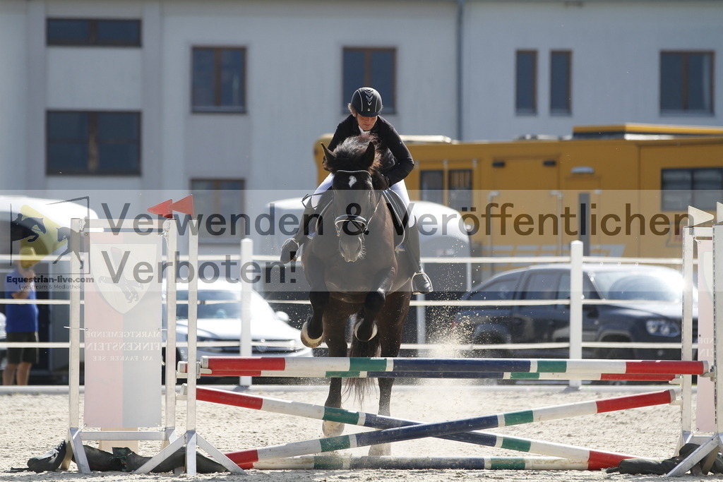 _MG_3453 | equestrian-live-com