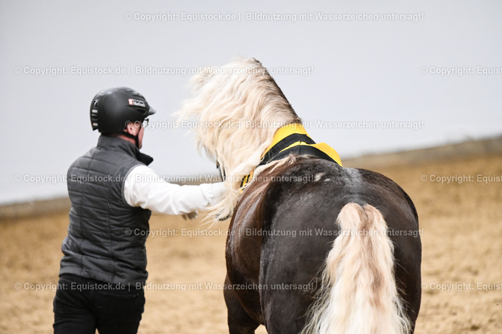 20260307_Hengstvorstellung-Marbach_0257 | equistock