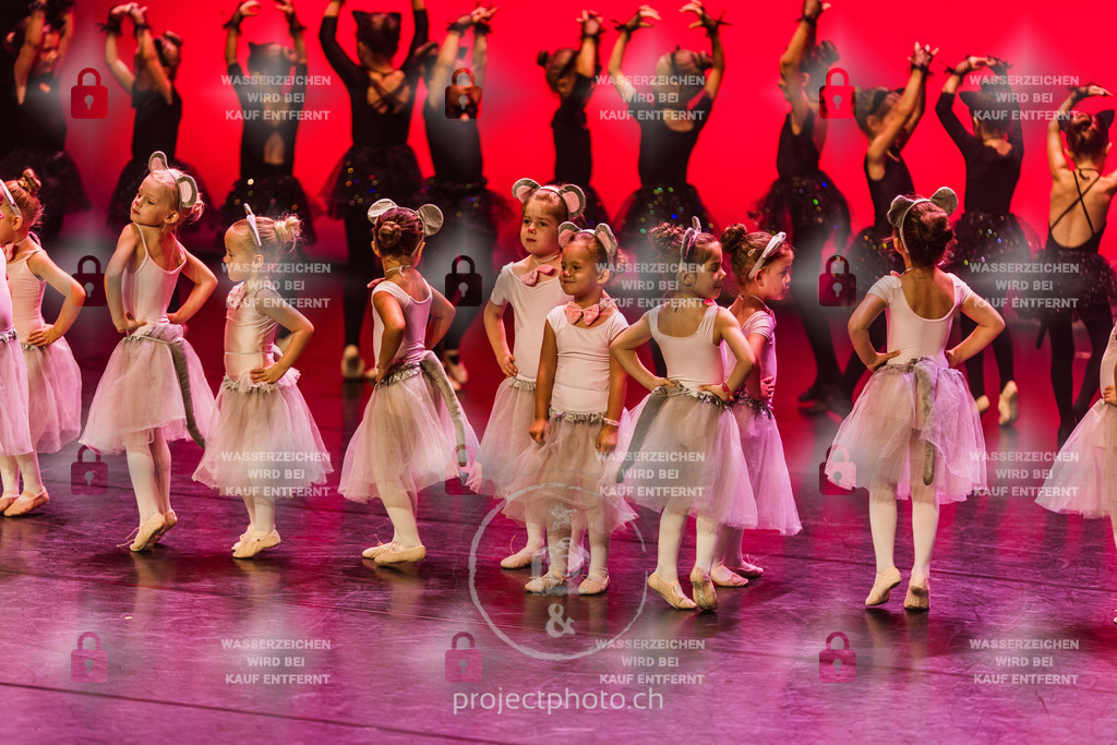 EXPORT_FULL-1-23 | projectphoto - Realisiert mit Pictrs.com