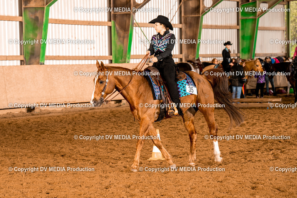 BAL00300 | dv-media-shop - Realisiert mit Pictrs.com