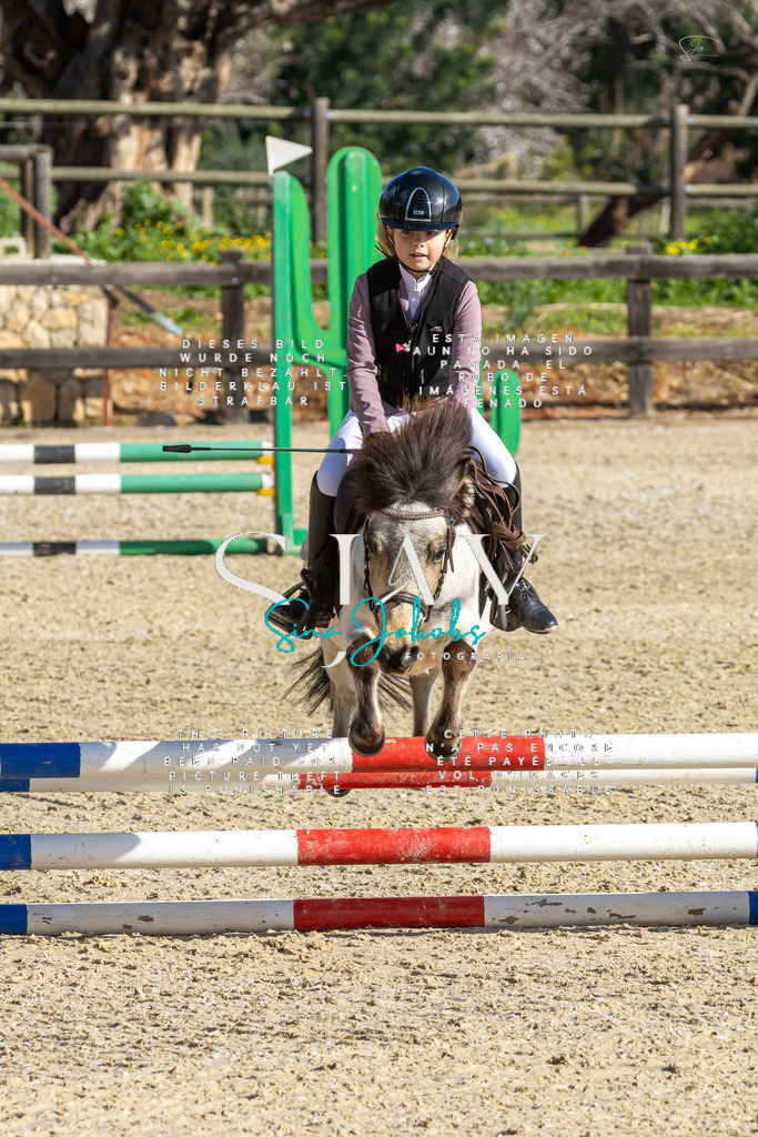 IMG_3507 | s-jay-photography - Realisiert mit Pictrs.com