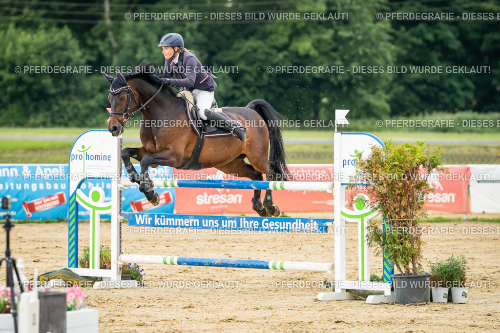 DSC06765 | Pferdegrafie