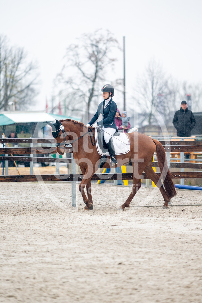 DSC_5395 | sattelsport - Realisiert mit Pictrs.com