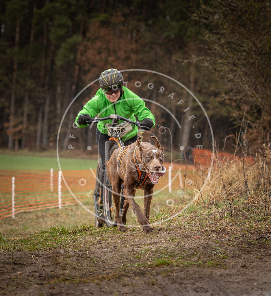 DV3A9462 | Hundefotografie, Tierfotograf, Pfotenfotografie, Fotoshooting Hund, Hunde Portrait, Hundesport, Hundeportraits, Heideshooting, Hunde, Sportfotograf, Hundefotograf, Turnierhundsport, THS,  - Realisiert mit Pictrs.com