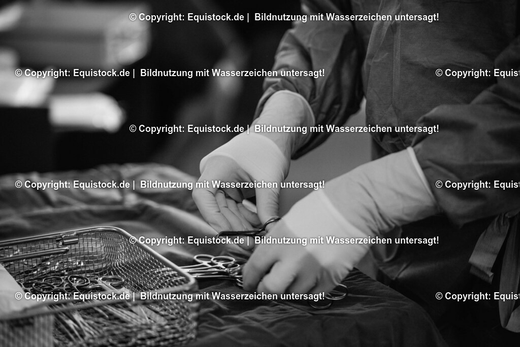 20160309_Sehnenschnitt_OP__0013 | equistock