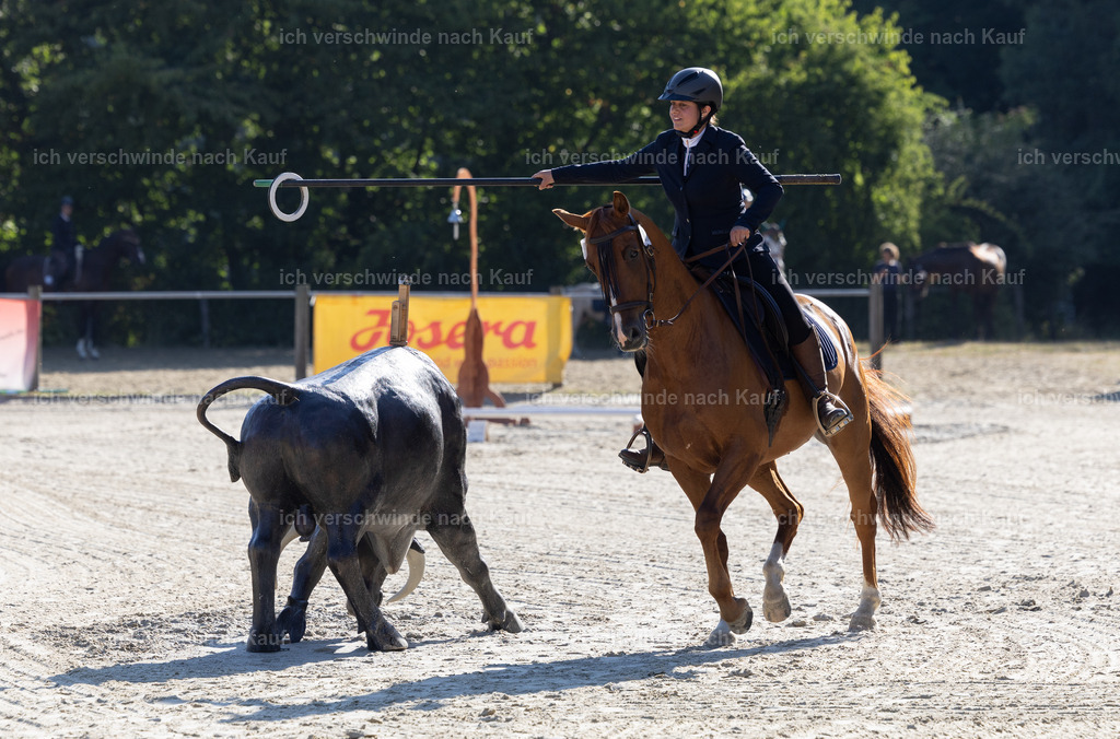 WA_Trail_64_KerstinBernhardt-24-8 | working equitationturnier fotograf videograf stoibphotography marixx film working equitation deutschland reitsport turnierfotografie eventfotografie equestrian events