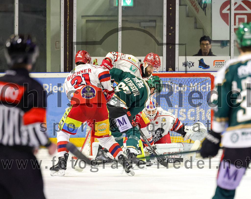 2026-02-20_087_TSV_Erding_gegen_Deggendorfer_SC | Erding, Deutschland, 20.02.2026:Eishockey, Oberliga Süd 2025 / 2026, 49. Spieltag, TSV Erding gegen Deggendorfer SC, Endergebnis: 4:1Viktor Buchner (Deggendorfer SC, #21), Thomas Matheson (Erding Gladiators, #37), Torwart Timo Pielmeier (Deggendorfer SC, #51)Foto: Christian Riedel / fotografie-riedel.net