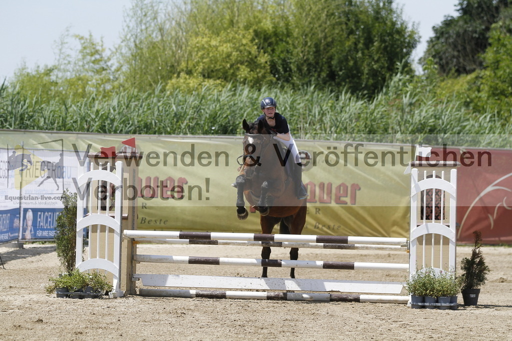 _MG_5146 | equestrian-live-com