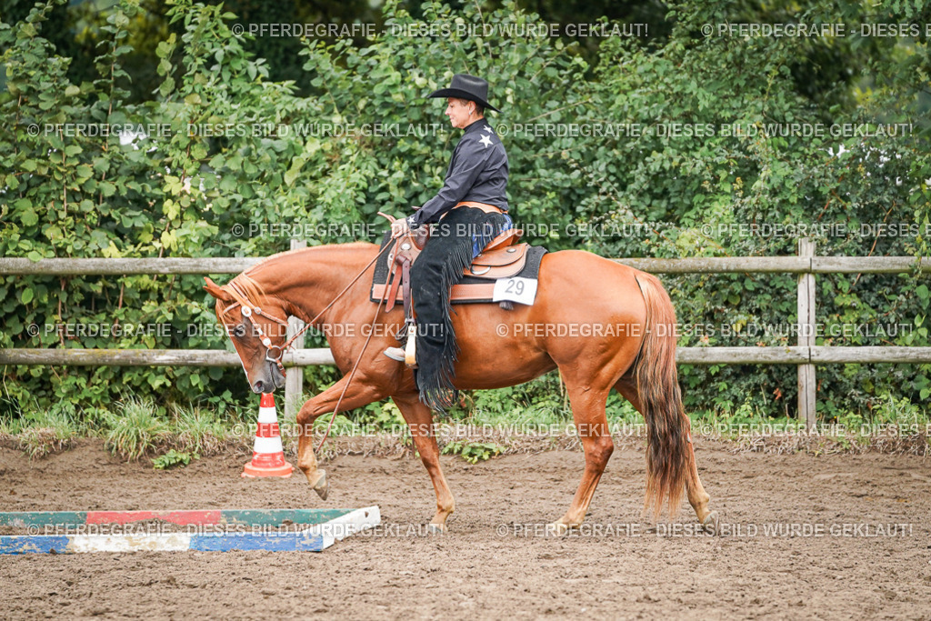 DSC03219 | Pferdegrafie