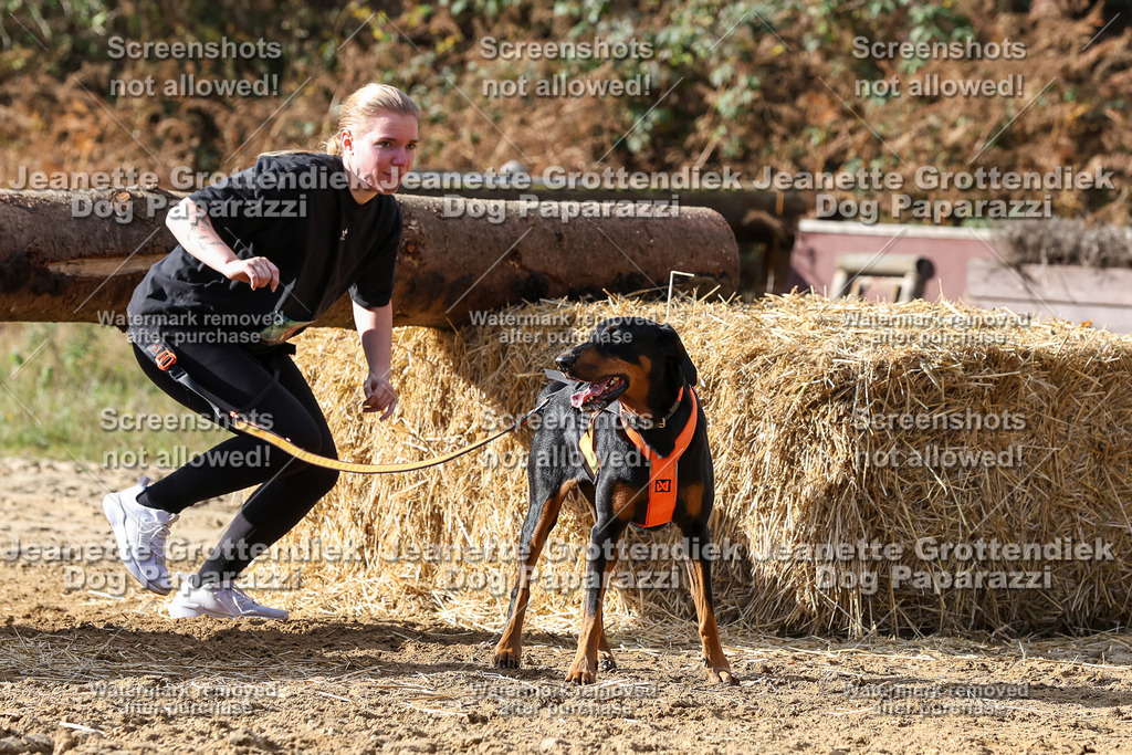 Dog Paparazzi - Strongdog 10-25-5035 | Dog Paparazzi Jeanette Grottendiek Fotografie & Videografie - Realisiert mit Pictrs.com