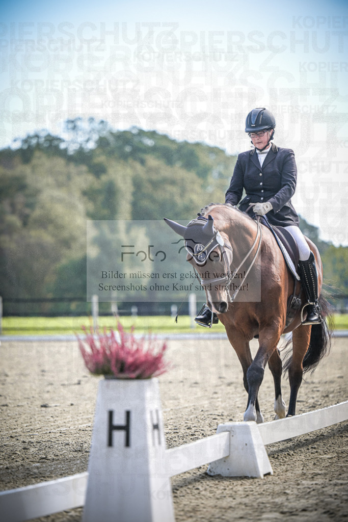 DOS_0986 | Entdecke hochwertige Reitturnierfotos von Foto Oger. Professionell, emotional und authentisch – jetzt Lieblingsmomente im Shop bestellen.Deutschlandweite Turnierfotografie. - Realisiert mit Pictrs.com