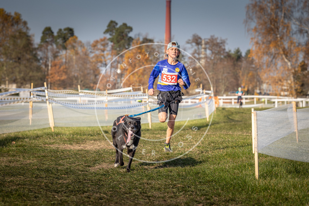 CaniXpix_0L8A8793 | Hundefotografie, Tierfotograf, Pfotenfotografie, Fotoshooting Hund, Hunde Portrait, Hundesport, Hundeportraits, Heideshooting, Hunde, Sportfotograf, Hundefotograf, Turnierhundsport, THS,  - Realisiert mit Pictrs.com